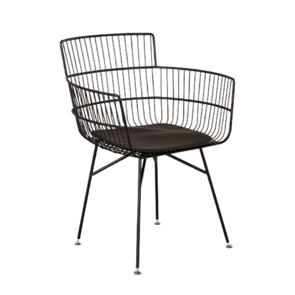 Veena Outdoor Chair